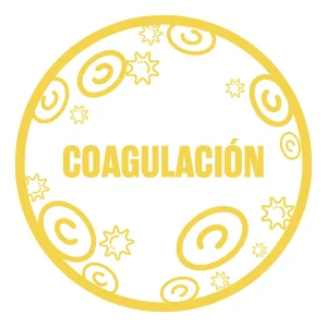 Cat coagulacion