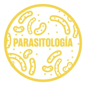 Cat parasitologia